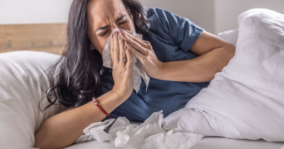 Aldi's Budget Anti-Allergy Bedding Returns as Britain Battles Pollen Crisis
